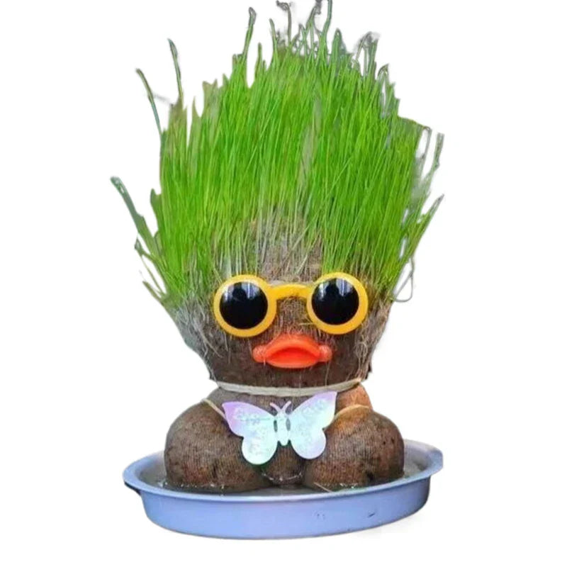 Figure Plants - Lär dig sköta växter - Växter för heminredning