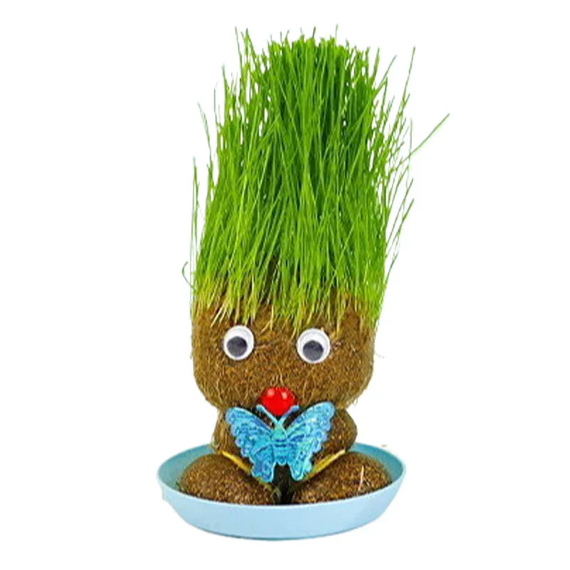 Figure Plants - Lär dig sköta växter - Växter för heminredning