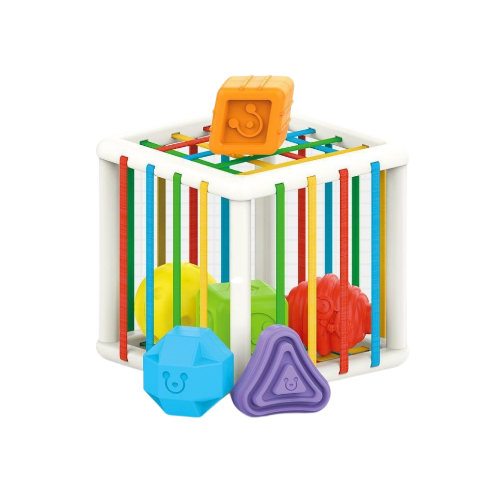 Sortering Cube - Sorteringskub - Utbildningskub