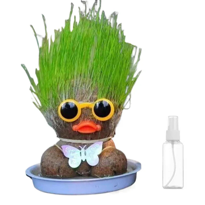 Figure Plants - Lär dig sköta växter - Växter för heminredning