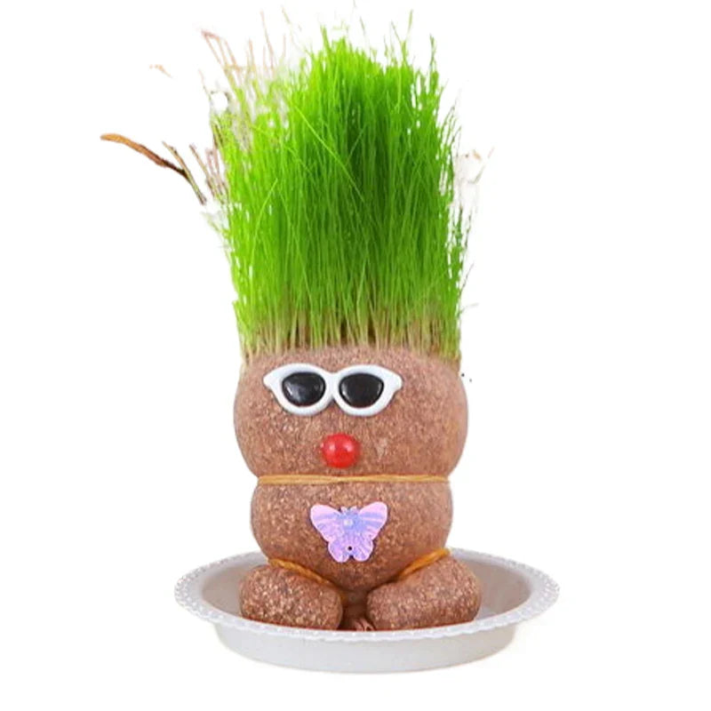 Figure Plants - Lär dig sköta växter - Växter för heminredning