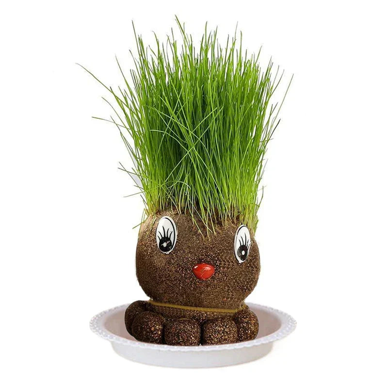 Figure Plants - Lär dig sköta växter - Växter för heminredning