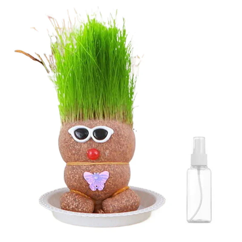 Figure Plants - Lär dig sköta växter - Växter för heminredning