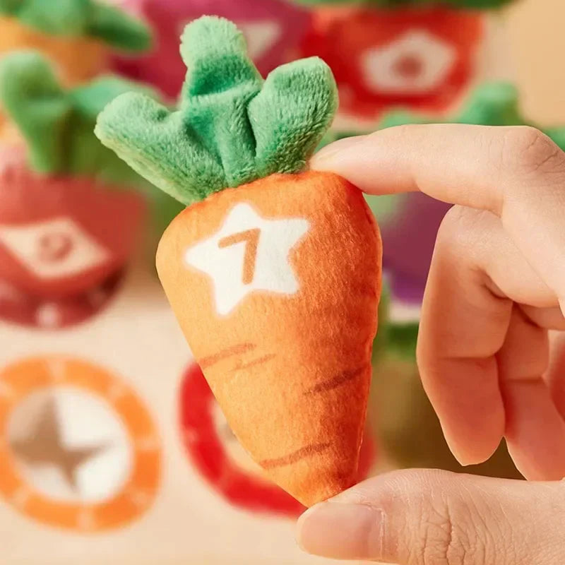 Sensory Carrots – Känn & plocka - sensoriska leksaker