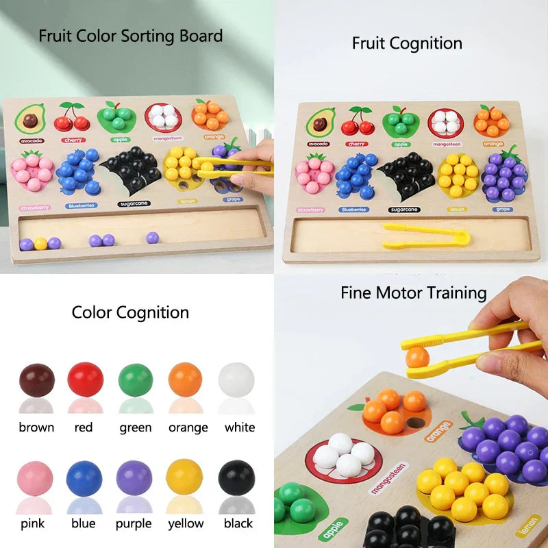 Toddler Clips - Frukt- och formmatchning - Sorteringsspel