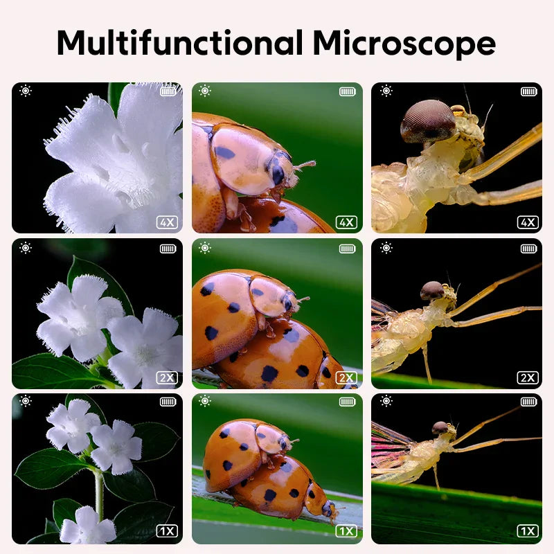 Mini Kids Microscope - Vetenskap under linsen - Mikroskop