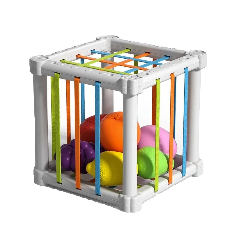 Fruit Box - Klipp, lek, lär - Frukt i kartong